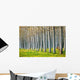 Row Spring Poplar Trees Wall Decal