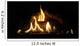 Fireplace Wall Mural