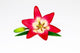 Red Lily Flower Wall Decal