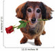 Valentine Dachshund Wall Decal