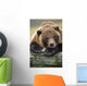 Captive Brown Bear Rests With It Front Legs Outstretched On A Log Wall Mural