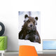 Grizzly Bear Standing With Face Covered In Snow Wall Mural
