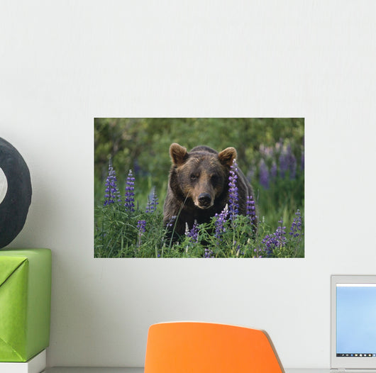 Captive Wall Mural