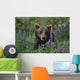 Captive Wall Mural