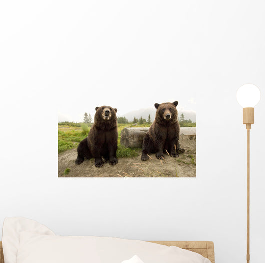 Captive Wall Mural