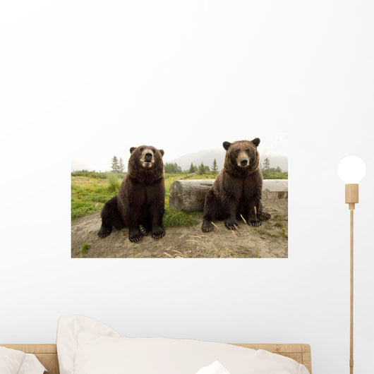 Captive Wall Mural