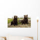 Captive Wall Mural