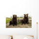 Captive Wall Mural
