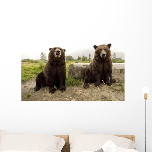 Captive Wall Mural