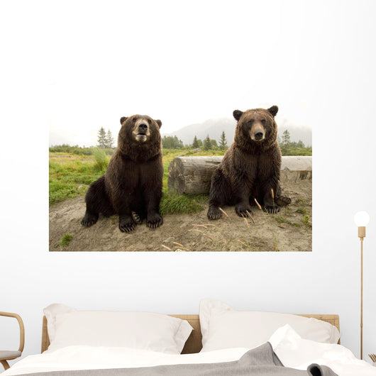 Captive Wall Mural