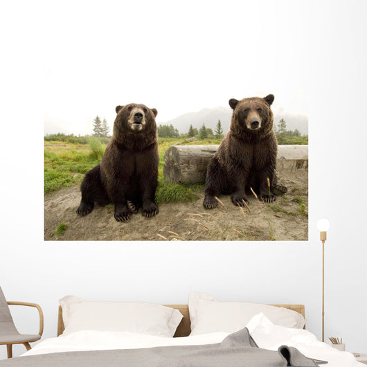Captive Wall Mural