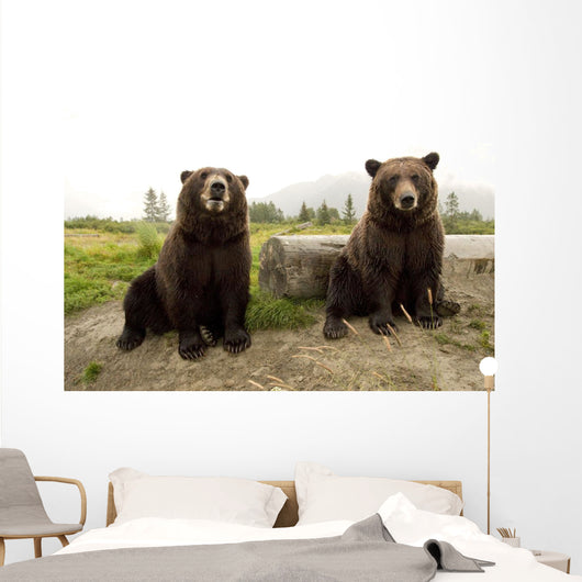 Captive Wall Mural