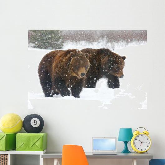 A Pair Of Adult Brown Bears Walk Through Falling Snow Wall Mural