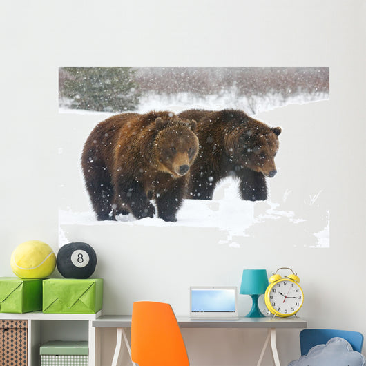 A Pair Of Adult Brown Bears Walk Through Falling Snow Wall Mural