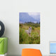Captive Coyote Stands In Summer Flowers And Grasses Wall Mural