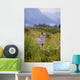 Captive Coyote Stands In Summer Flowers And Grasses Wall Mural