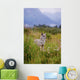 Captive Coyote Stands In Summer Flowers And Grasses Wall Mural