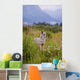 Captive Coyote Stands In Summer Flowers And Grasses Wall Mural