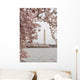 Washington Cherry Blossoms Wall Decal