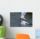 Arctic Terns Displaying Mating Behavior At Potter Marsh During Spring Wall Mural