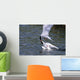 Arctic Terns Displaying Mating Behavior At Potter Marsh During Spring Wall Mural