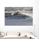 A Surfer Prepares To Ride A Large Bore Tide Wall Mural