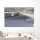 A Surfer Prepares To Ride A Large Bore Tide Wall Mural