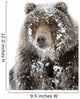 Captive Wall Mural