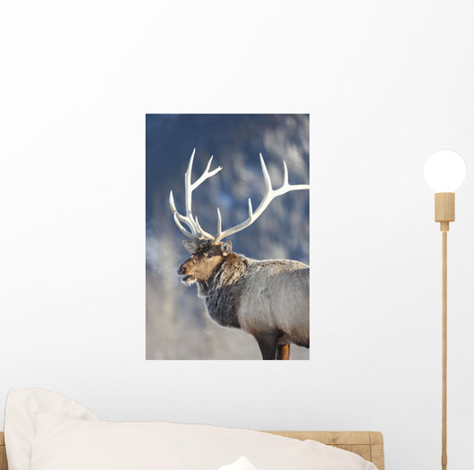 Captive Wall Mural