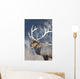 Captive Wall Mural