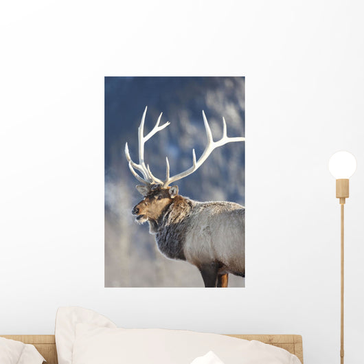 Captive Wall Mural
