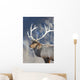 Captive Wall Mural