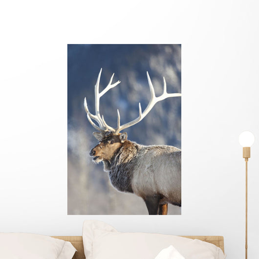 Captive Wall Mural
