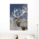 Captive Wall Mural