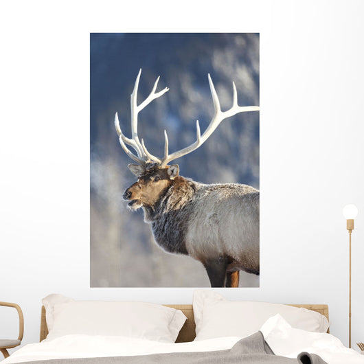 Captive Wall Mural