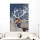 Captive Wall Mural