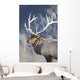 Captive Wall Mural