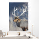 Captive Wall Mural