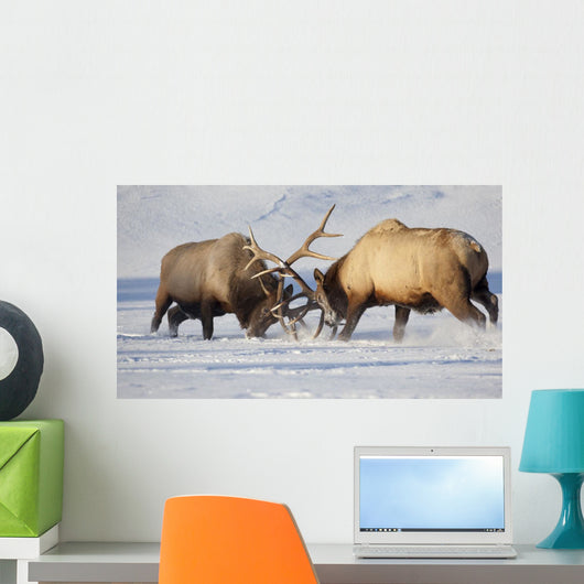 Captive Wall Mural