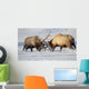 Captive Wall Mural