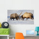 Captive Wall Mural