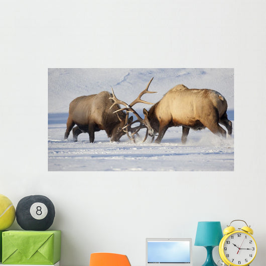 Captive Wall Mural