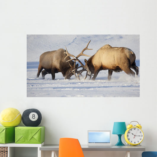 Captive Wall Mural