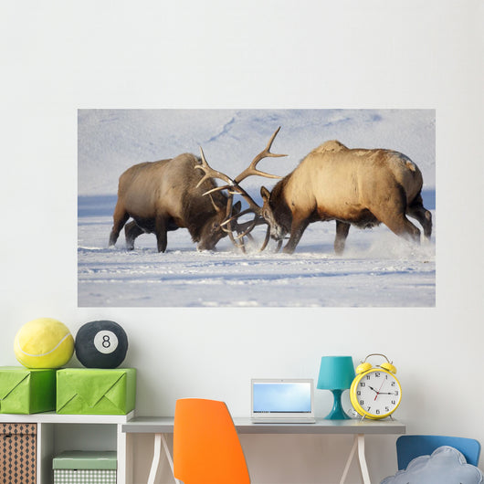 Captive Wall Mural