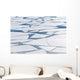 Winter Ice Layer Wall Mural