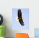 Bald Eagle Wall Mural