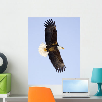 Bald Eagle Wall Mural shown on a wall