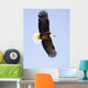 Bald Eagle Wall Mural