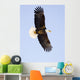 Bald Eagle Wall Mural