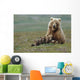 Grizzly Bear Sow W/4 Young Cubs Wall Mural